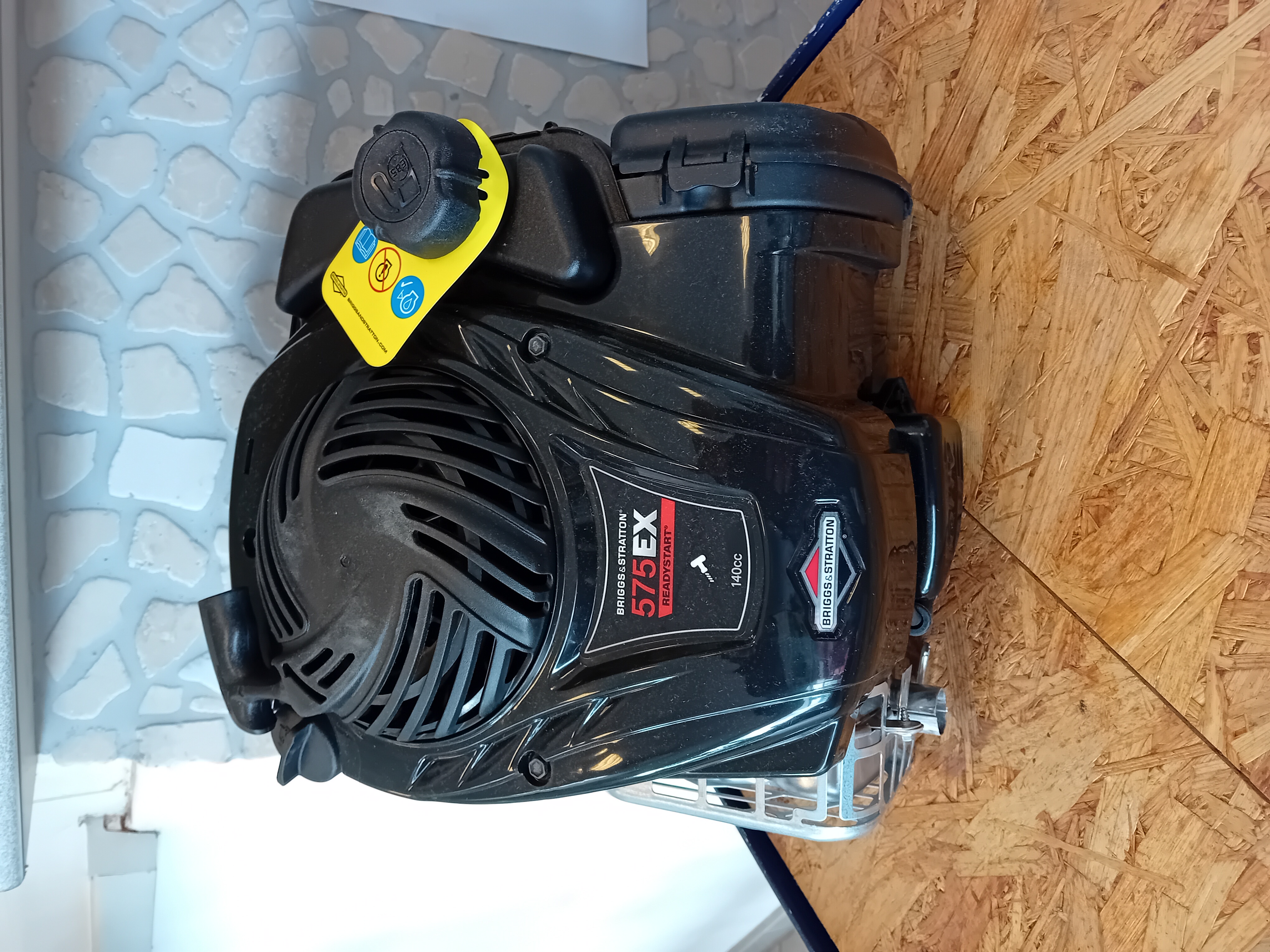 Briggs & Stratton Motor (passend für Home 550 & Pro 66)